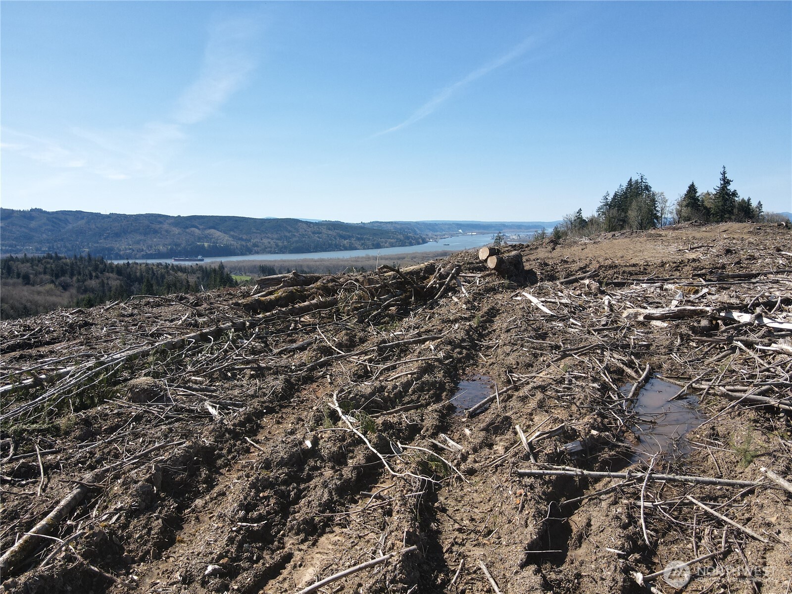 559 Kool Road Kelso, WA 98626 - Photo 16 of 30 view of city and mountain