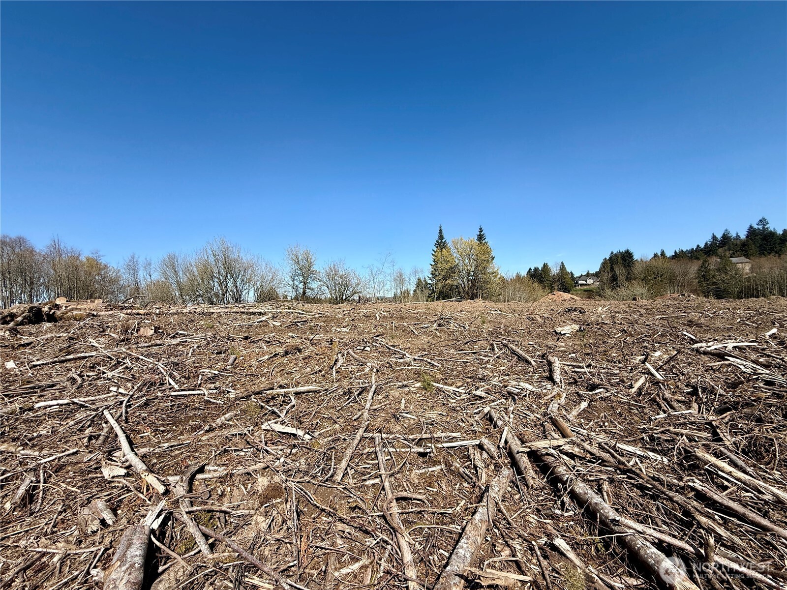 559 Kool Road Kelso, WA 98626 - Photo 25 of 30 a view of a dry yard with trees