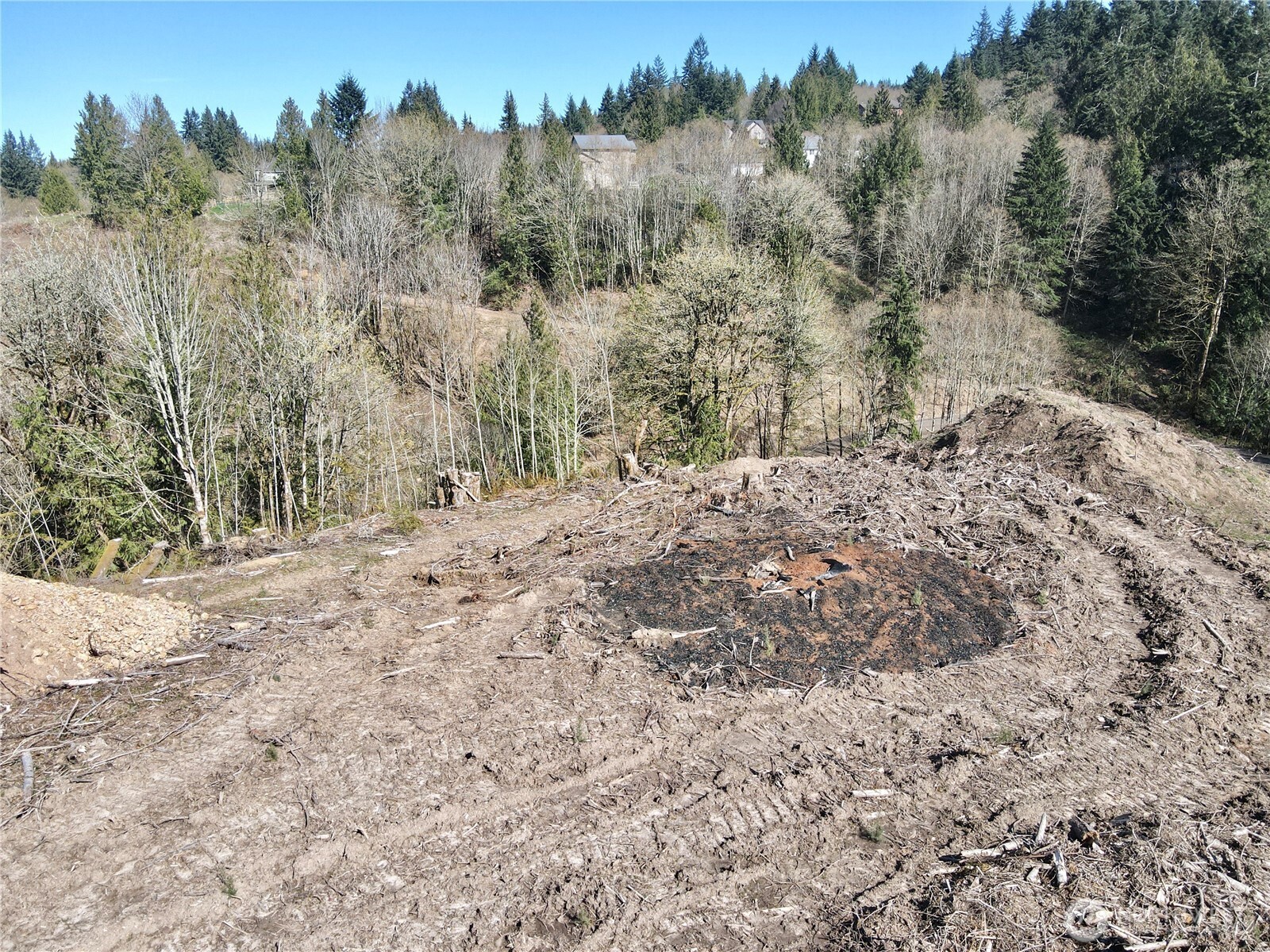 559 Kool Road Kelso, WA 98626 - Photo 26 of 30 a view of a yard with trees in the background