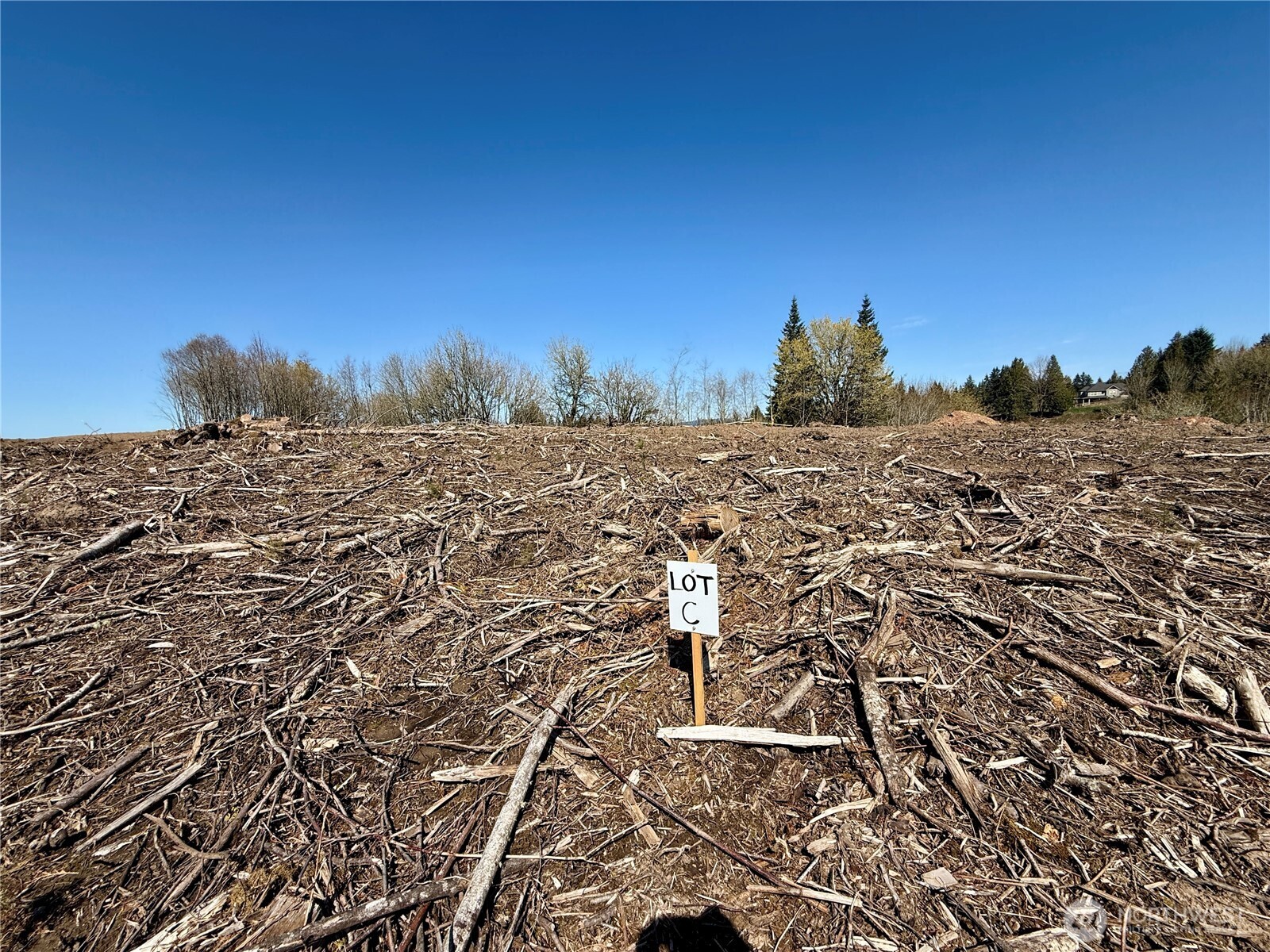 559 Kool Road Kelso, WA 98626 - Photo 27 of 30 a view of a dry yard with wooden fence and trees