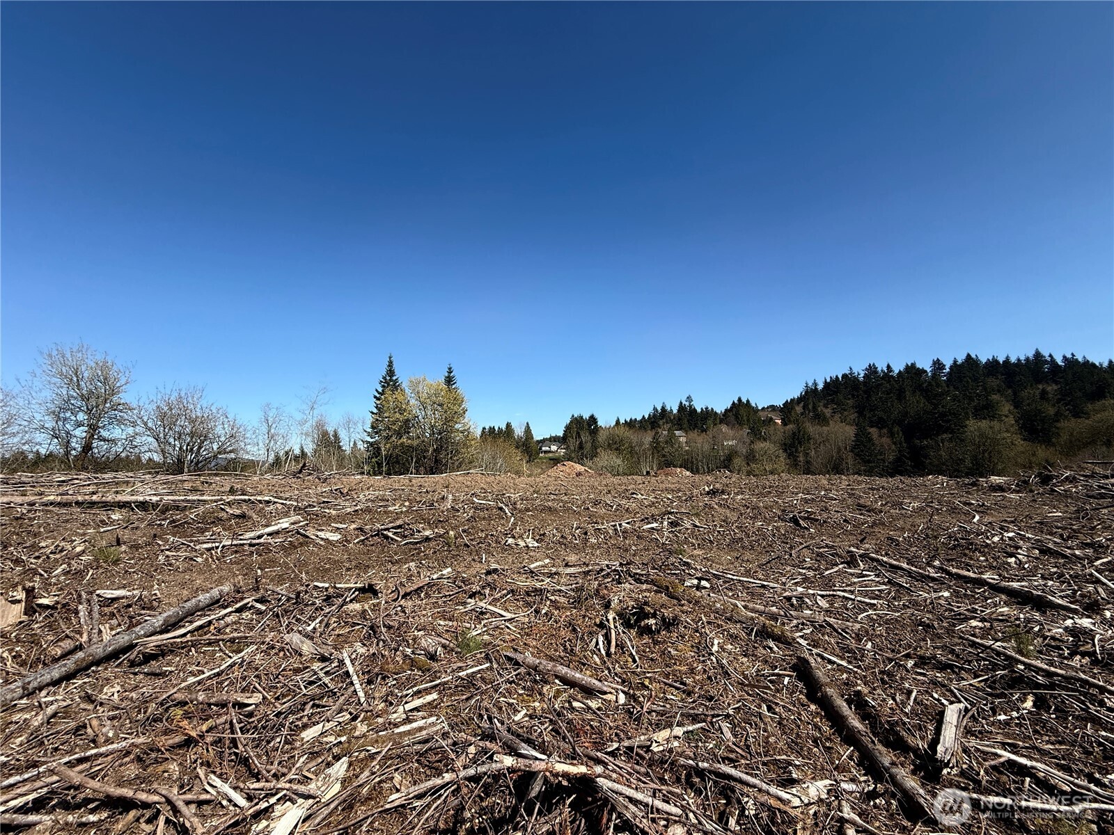 559 Kool Road Kelso, WA 98626 - Photo 28 of 30 a view of dirt field and trees