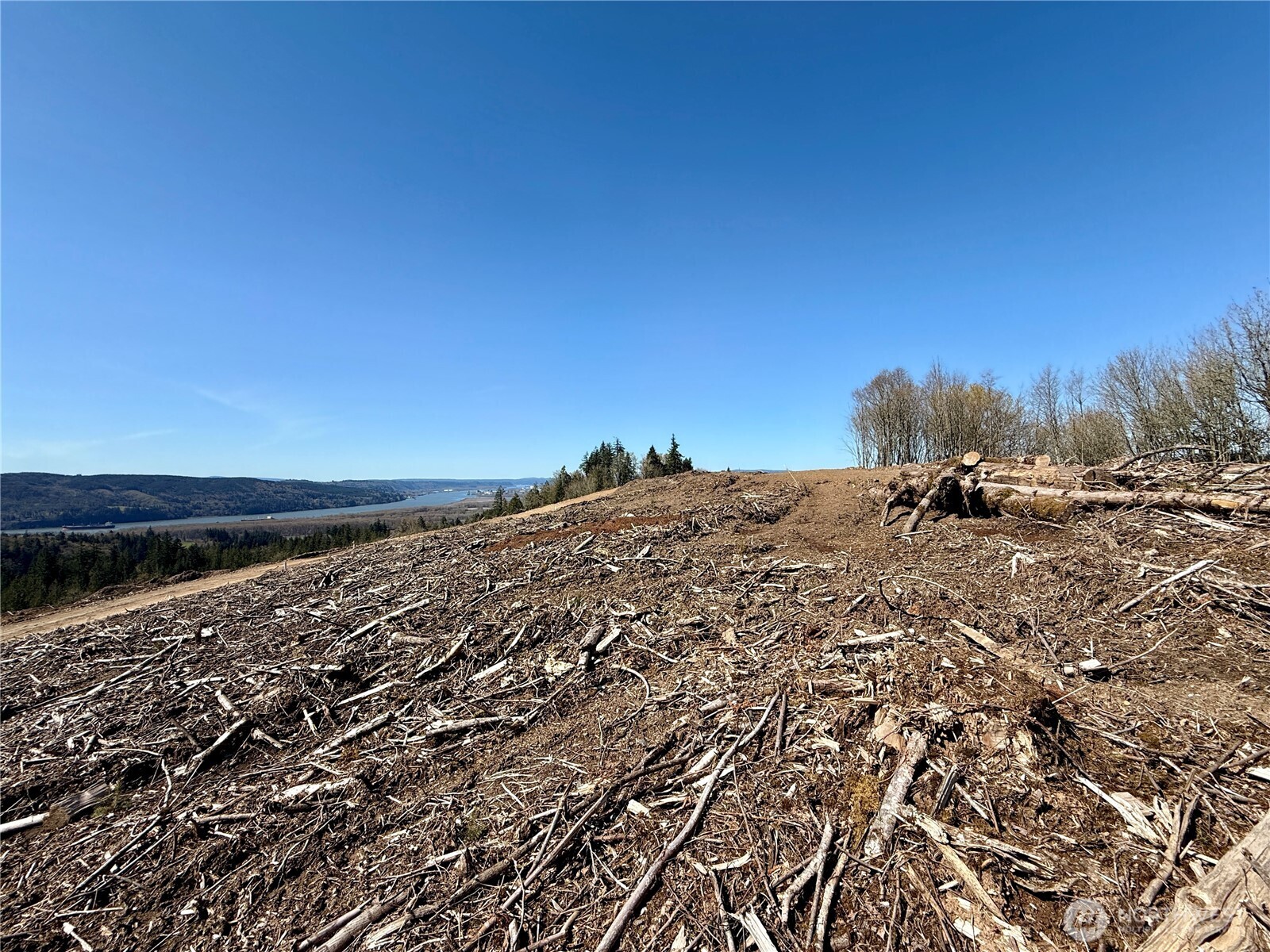 559 Kool Road Kelso, WA 98626 - Photo 29 of 30 a view of a large building