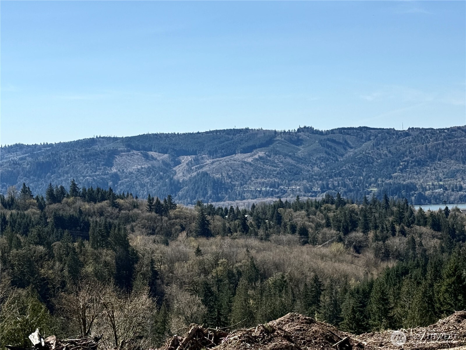 559 Kool Road Kelso, WA 98626 - Photo 3 of 30 a view of a and mountain
