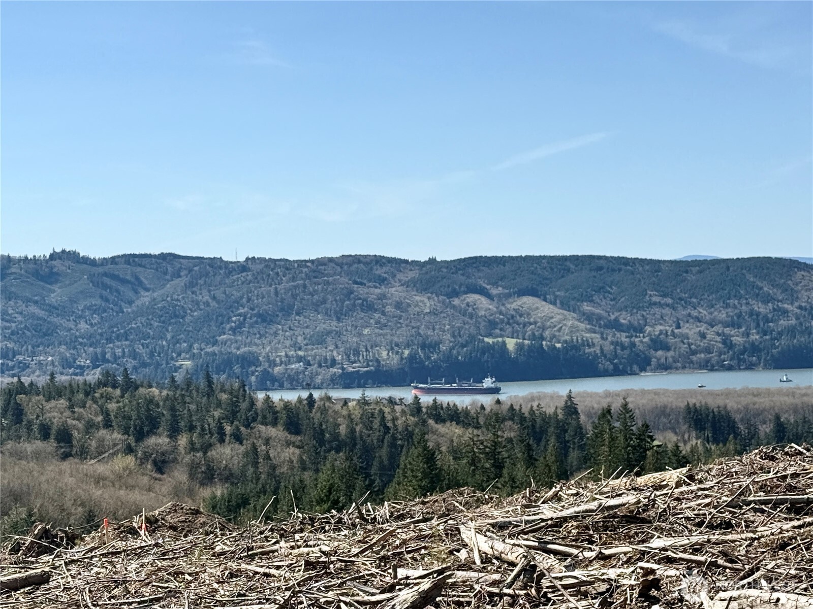 559 Kool Road Kelso, WA 98626 - Photo 4 of 30 a view of lake and mountain