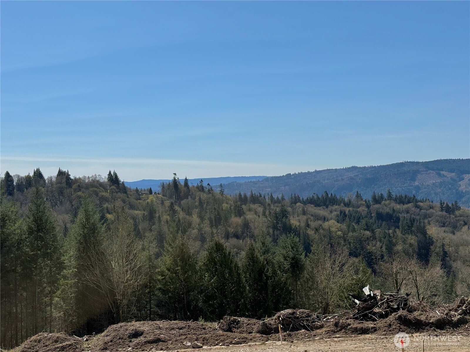 559 Kool Road Kelso, WA 98626 - Photo 7 of 30 a view of a backyard of a house
