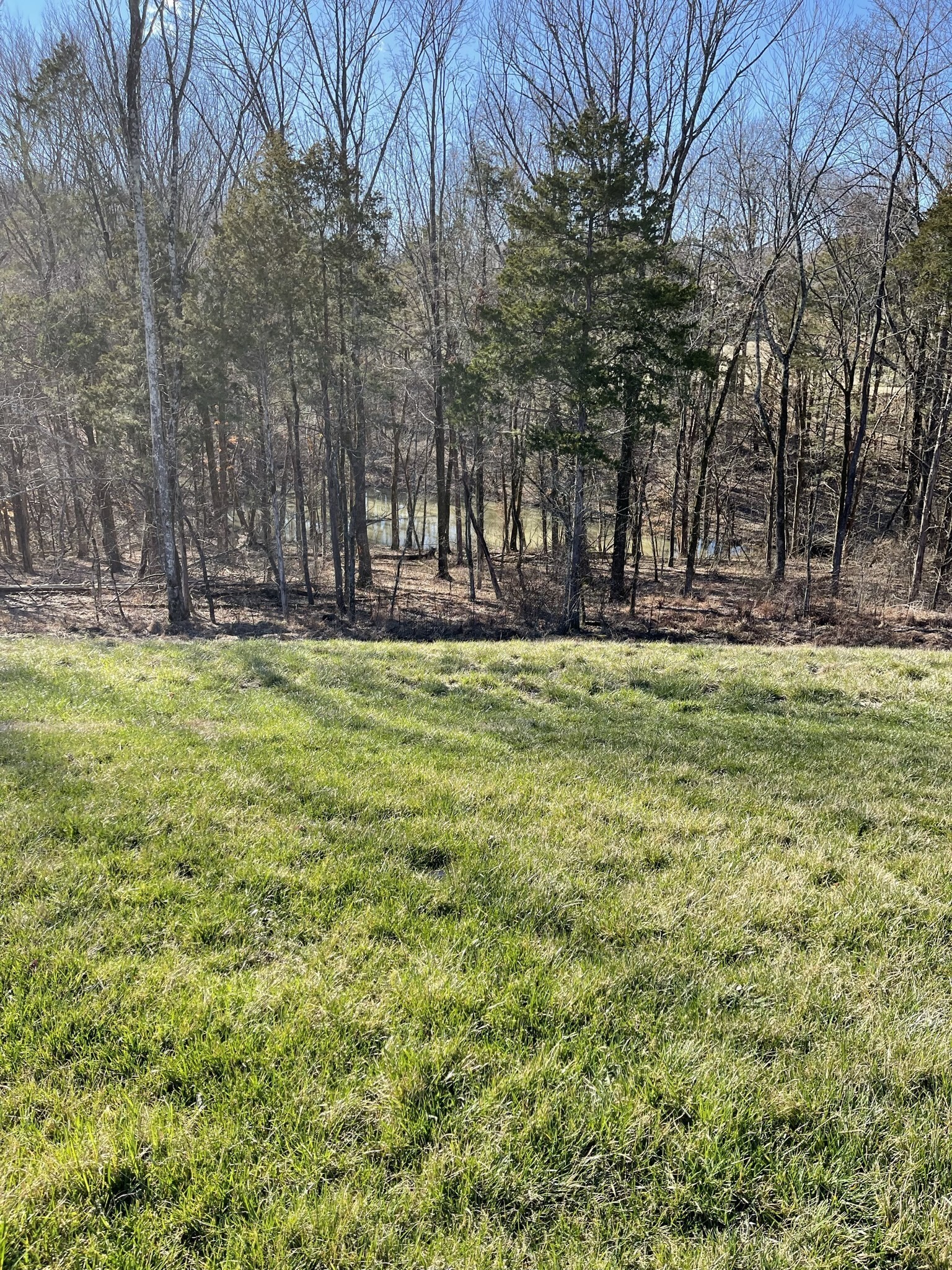 380 Old Stone Road Goodlettsville, TN 37072 - Photo 16 of 18