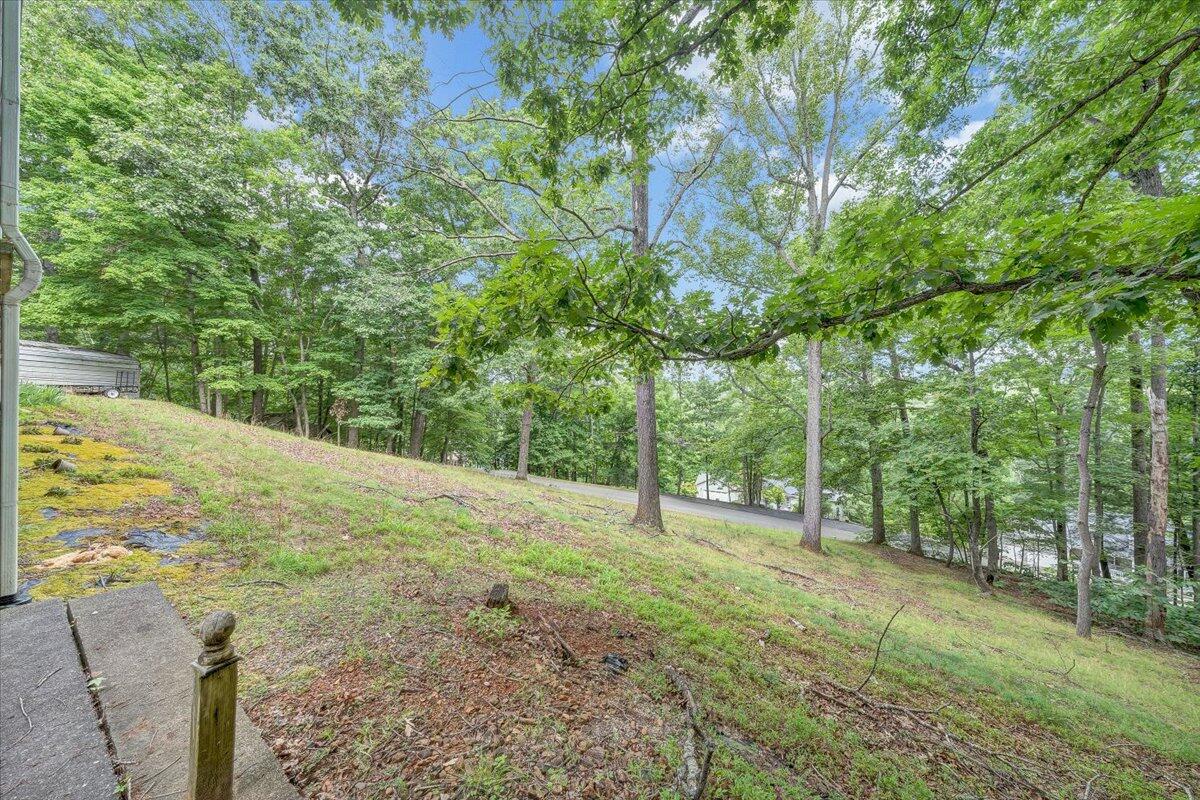 869 Lakeshore Terrace Road Hardy, VA 24101 - Photo 45 of 58 a view of a yard with an tree