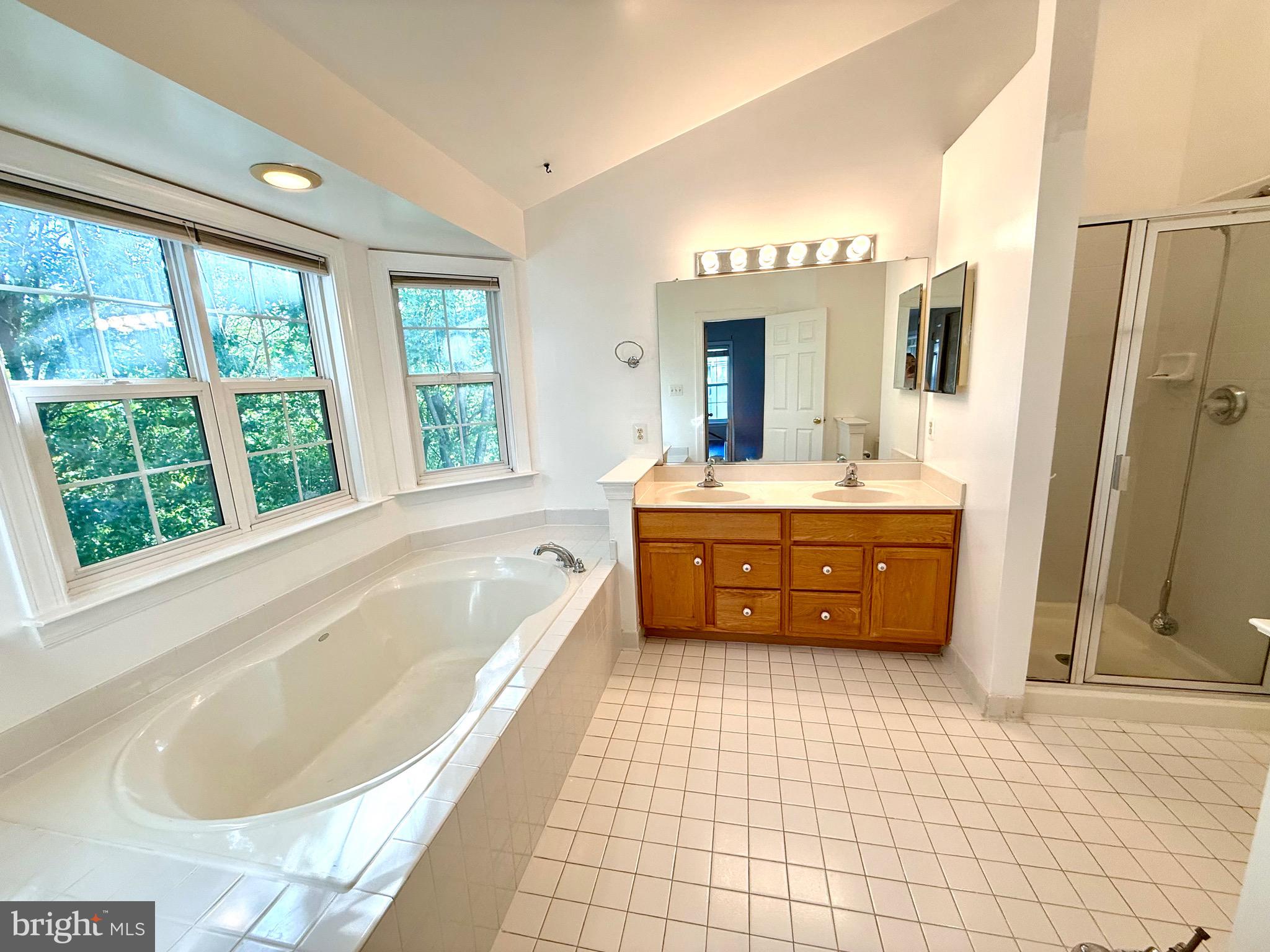 12447 Red Patch Lane Fairfax, VA 22033 - Photo 22 of 34 a bathroom with a tub a double vanity sink a mirror and a bathtub