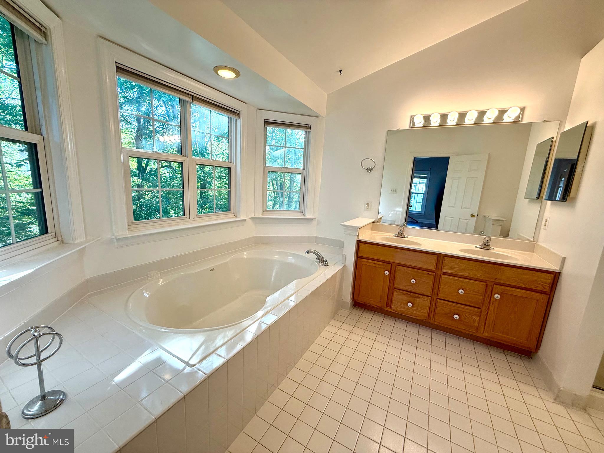 12447 Red Patch Lane Fairfax, VA 22033 - Photo 23 of 34 a spacious bathroom with a tub sink and mirror