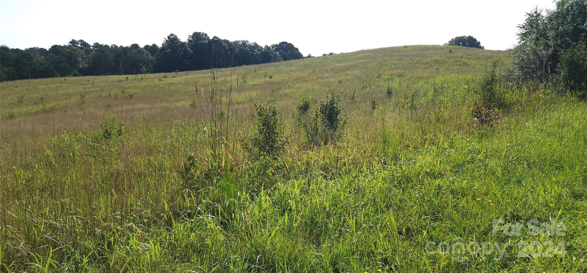Lot 20 Ar Thompson Rd Mill Spring, Unit 20 Mill Spring, NC 28756 - Photo 15 of 17