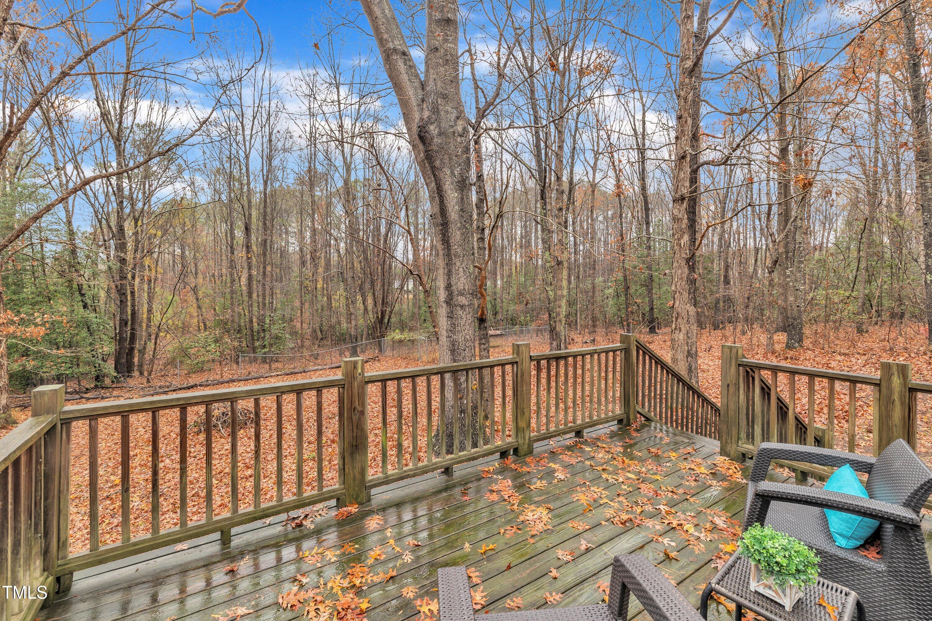 8412 South Creek Road Willow Spring, NC 27592 - Photo 28 of 29 Deck