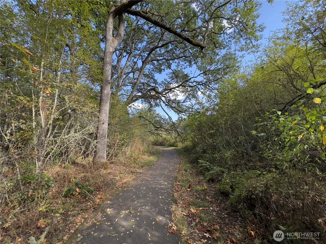 a view of a yard with a tree