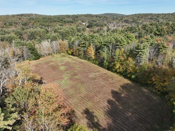 a view of a yard