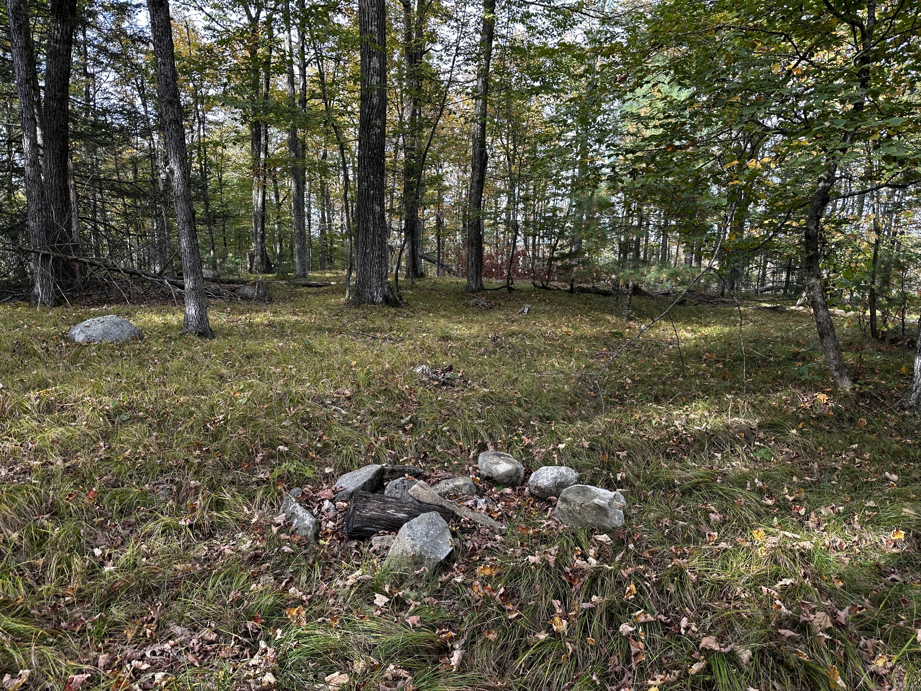 0 Norfolk Road Winsted, CT 06098 - Photo 11 of 21 a view of outdoor space and yard