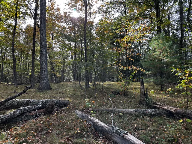a backyard of a house with lots of trees