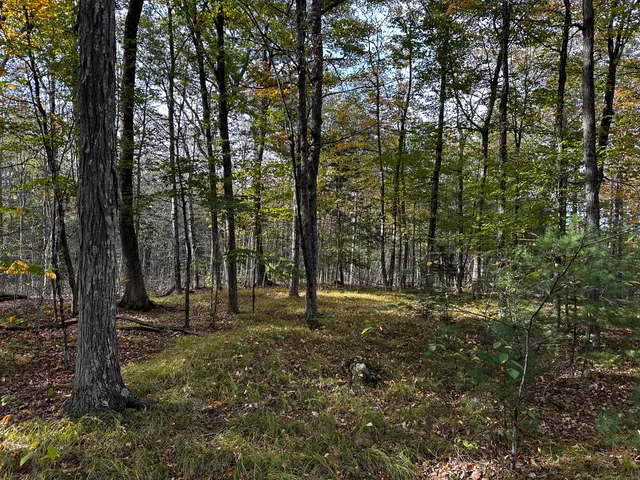 a view of outdoor space with trees