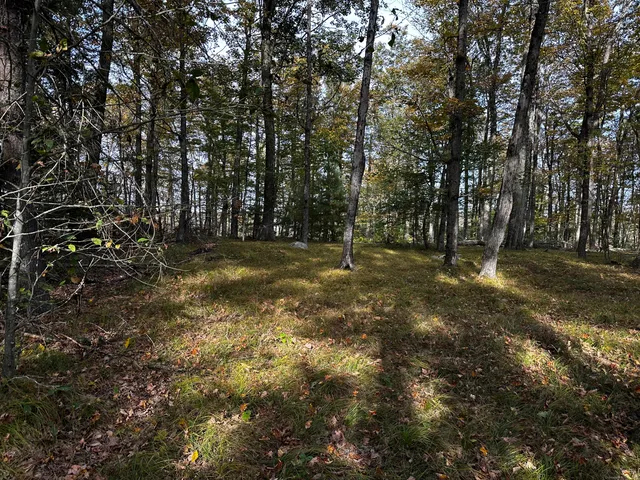 a view of outdoor space with trees