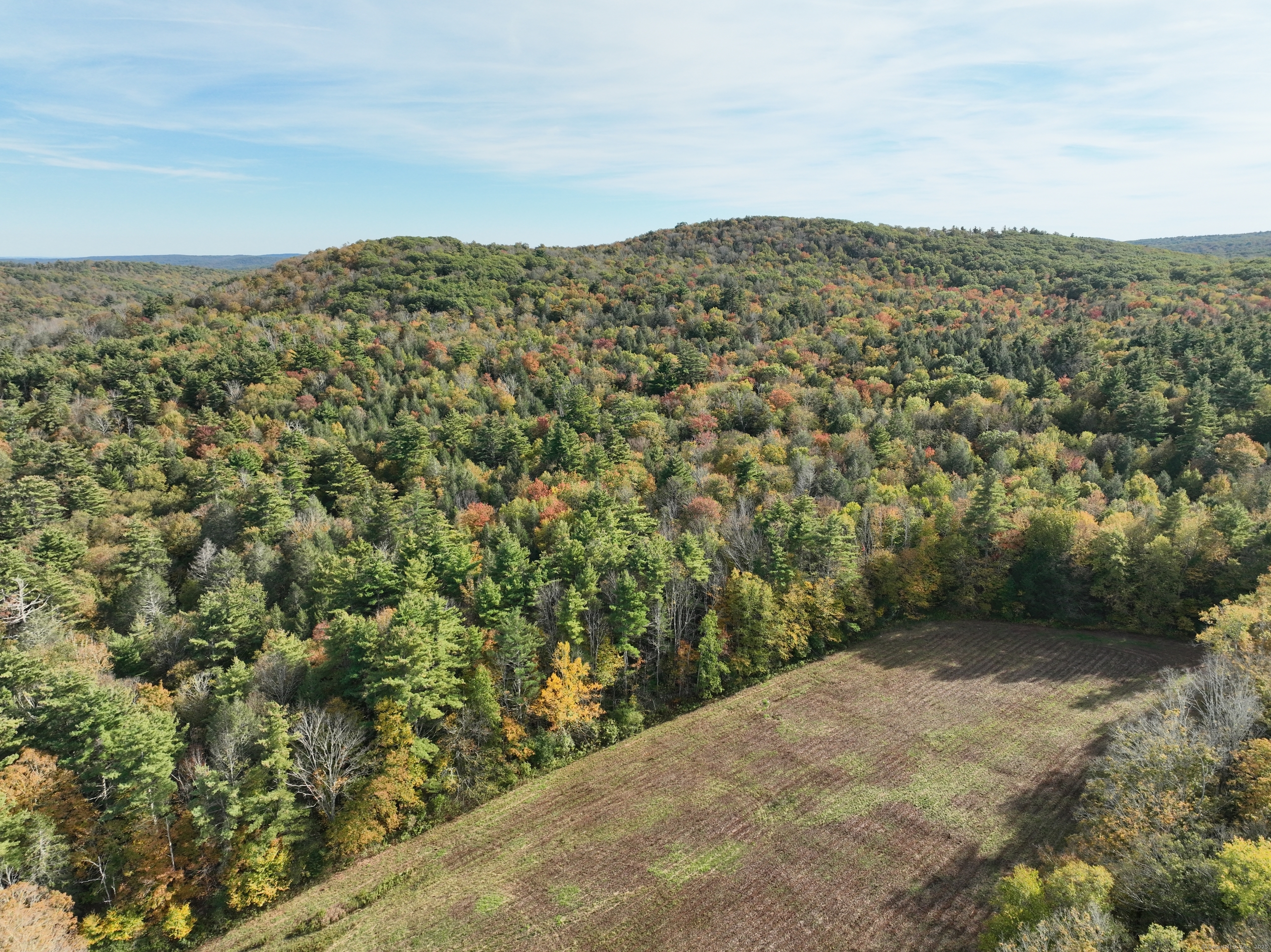 0 Norfolk Road Winsted, CT 06098 - Photo 4 of 21 a view of a yard