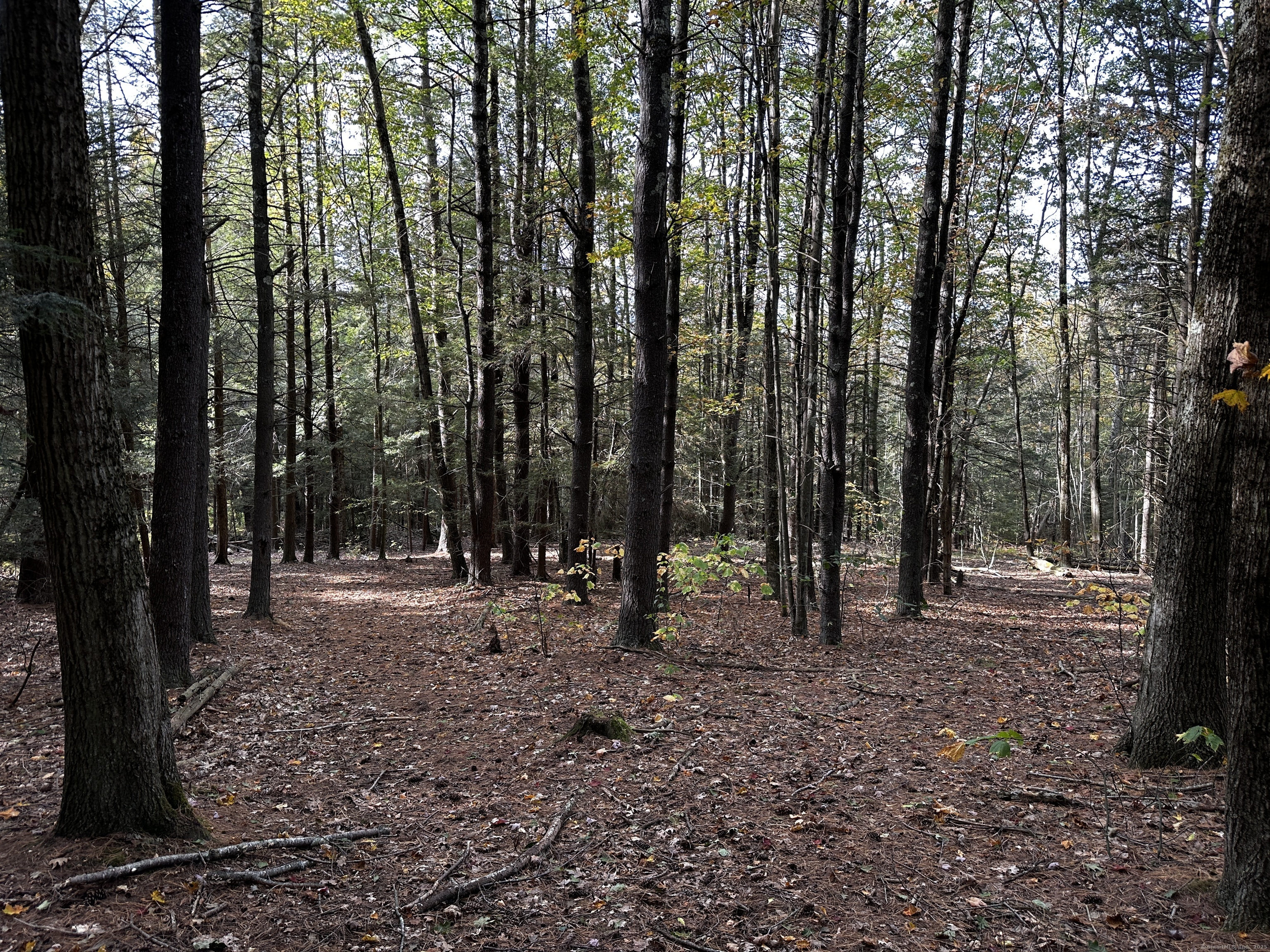 0 Norfolk Road Winsted, CT 06098 - Photo 9 of 21 a view of outdoor space with lots of trees