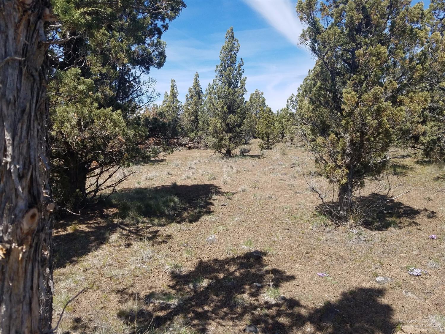 12632 Southeast Bridge Road Prineville, OR 97754 - Photo 8 of 14 Additional Photo