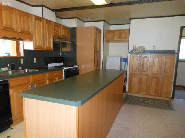 2637 O Brien Road Mayville, MI 48744 - Photo 3 of 18 21206084-2.JPG