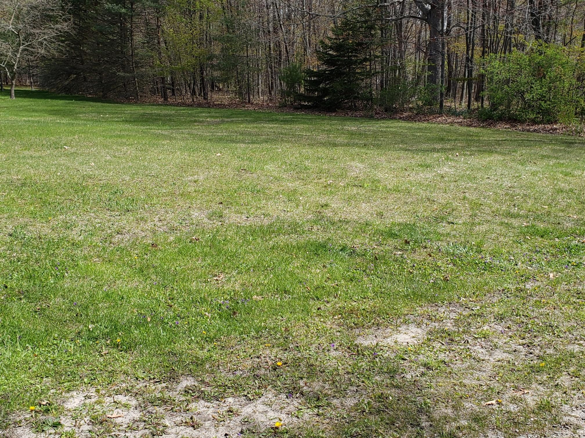 0 Post Road Montague, MI 49437 - Photo 9 of 10 20210510_115709_resized