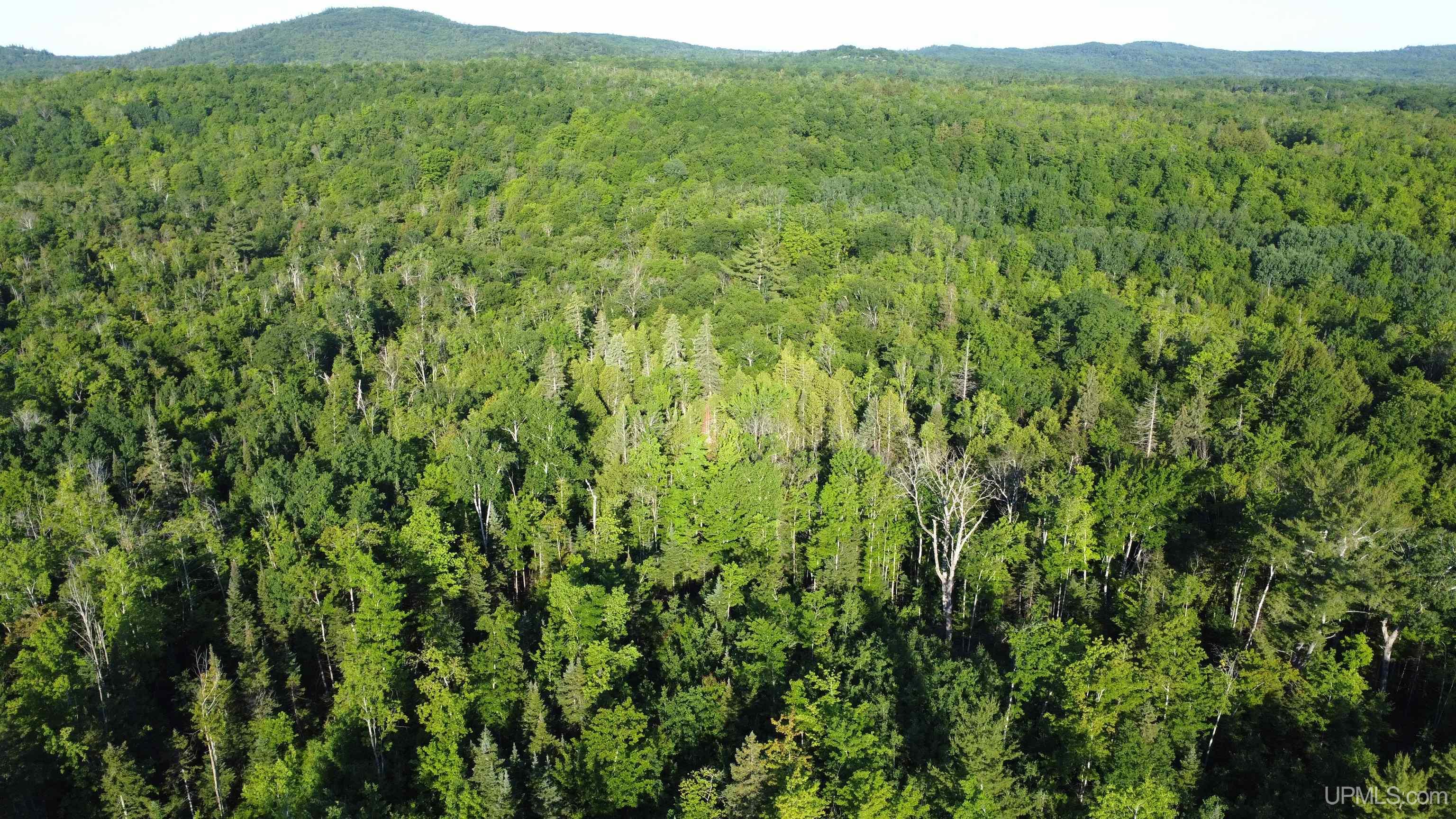 On Alder Cr Road Marquette, MI 49855 - Photo 14 of 20