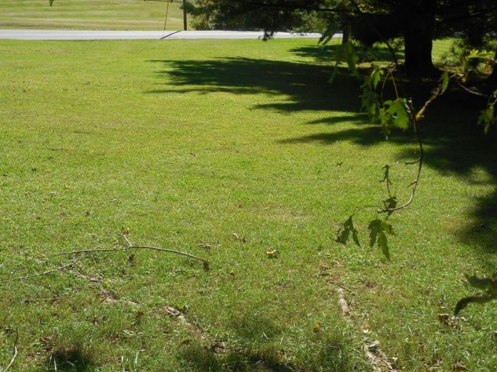 128 Choptack Road Rogersville, TN 37857 - Photo 6 of 24 Photo 6