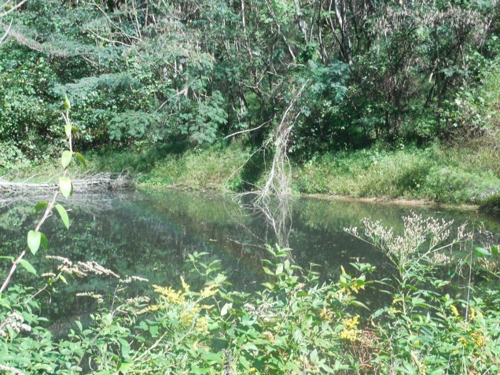 128 Choptack Road Rogersville, TN 37857 - Photo 9 of 24 Photo 9