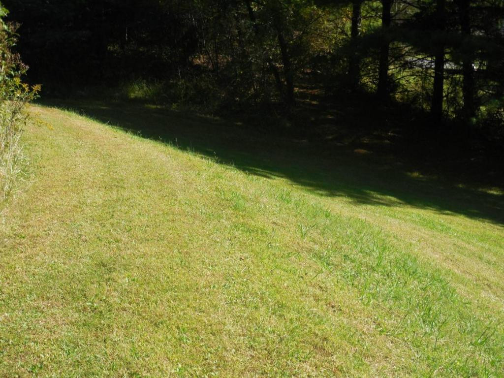 128 Choptack Road Rogersville, TN 37857 - Photo 10 of 24 Photo 10