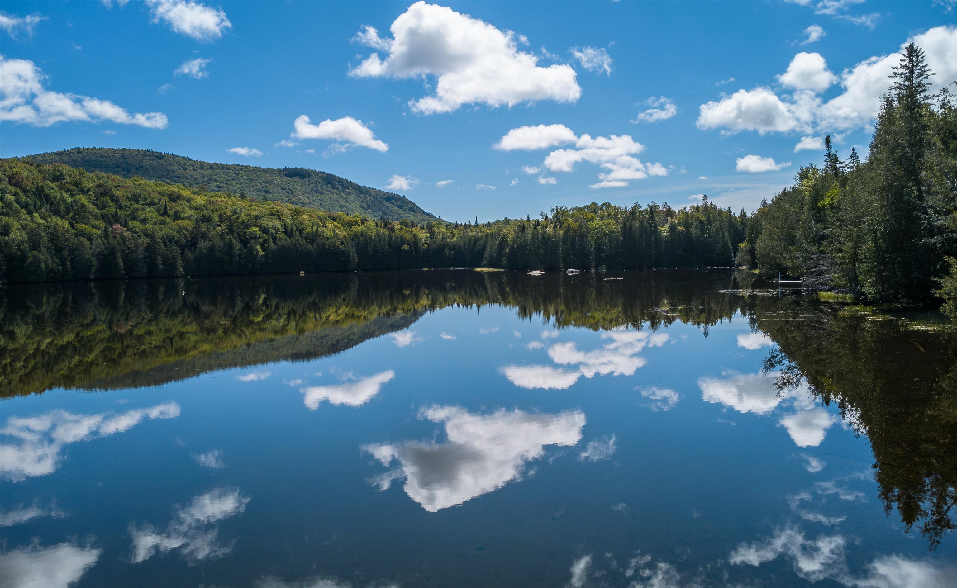 926 Center Pond Road Newark, VT 05871 - Photo 5 of 46 Gallery Image 5