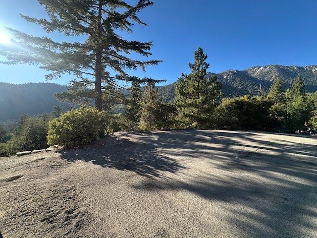 0 Howland Road Idyllwild, CA 92549 - Photo 6 of 16 IMG_4139
