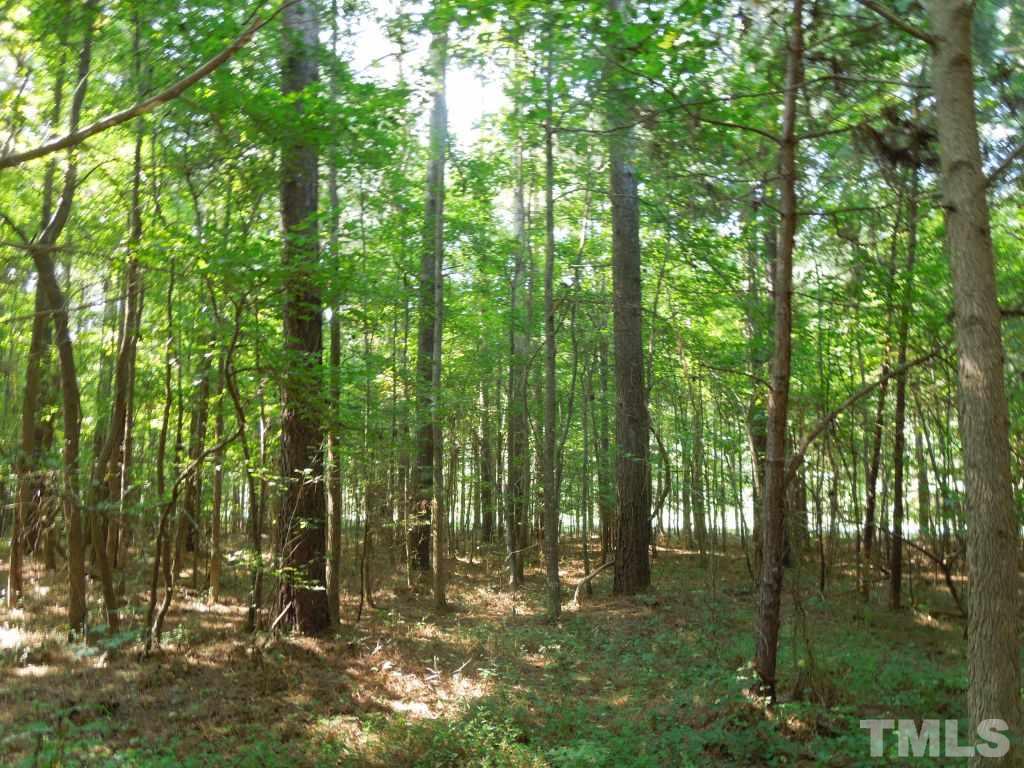 Weldon Road Louisburg, NC 27549 - Photo 11 of 15 Gallery Image 11