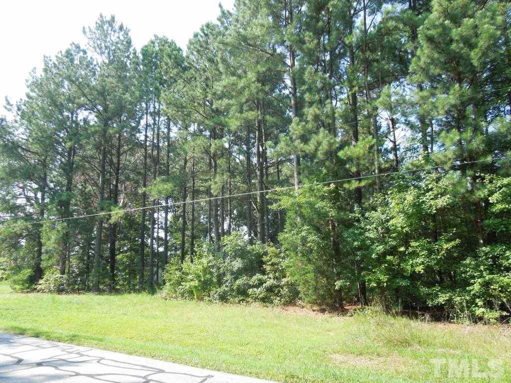 Weldon Road Louisburg, NC 27549 - Photo 14 of 15 Gallery Image 14