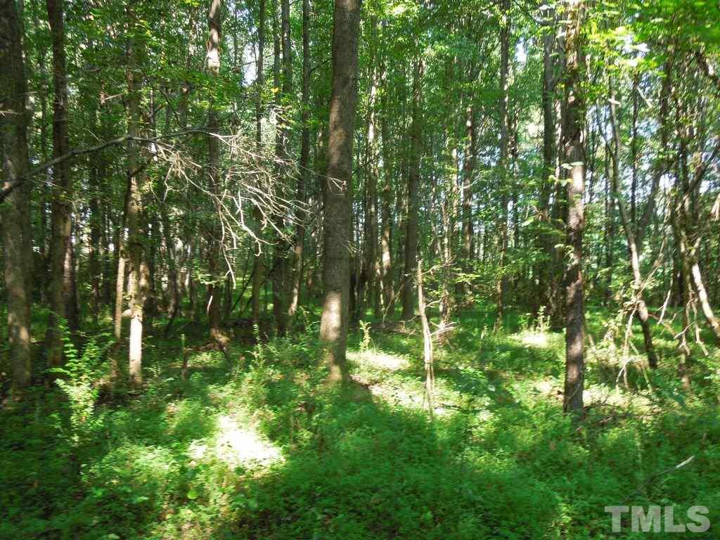 Weldon Road Louisburg, NC 27549 - Photo 10 of 15 Gallery Image 10