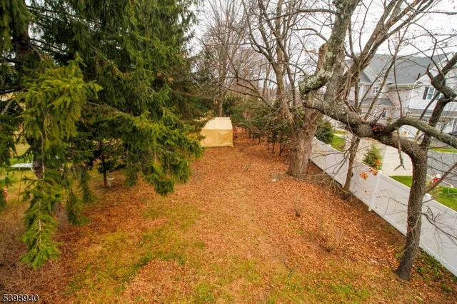 a backyard of a house with large trees and plants