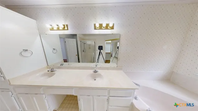 a bathroom with a sink and a mirror