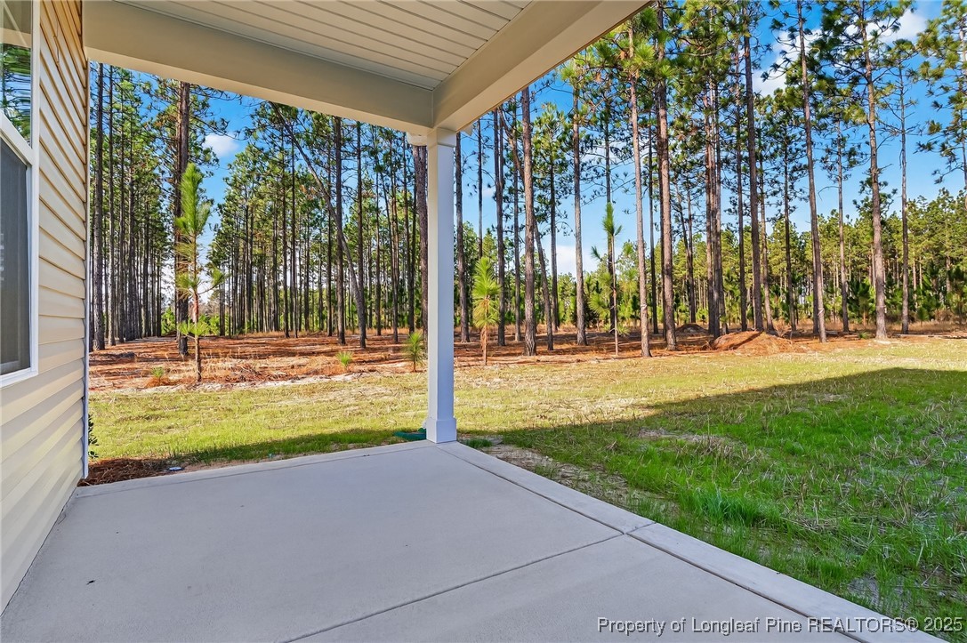 2218 Montrose (lot 2) Road Raeford, NC 28376 - Photo 38 of 48