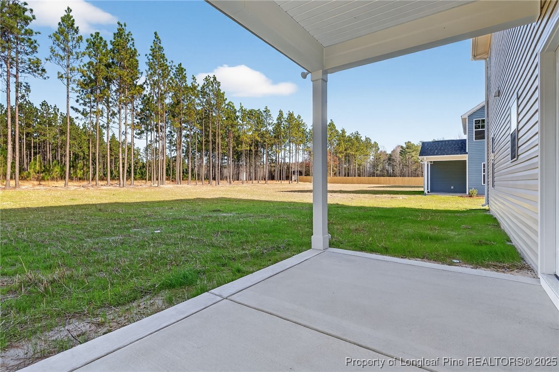 2218 Montrose (lot 2) Road Raeford, NC 28376 - Photo 39 of 48