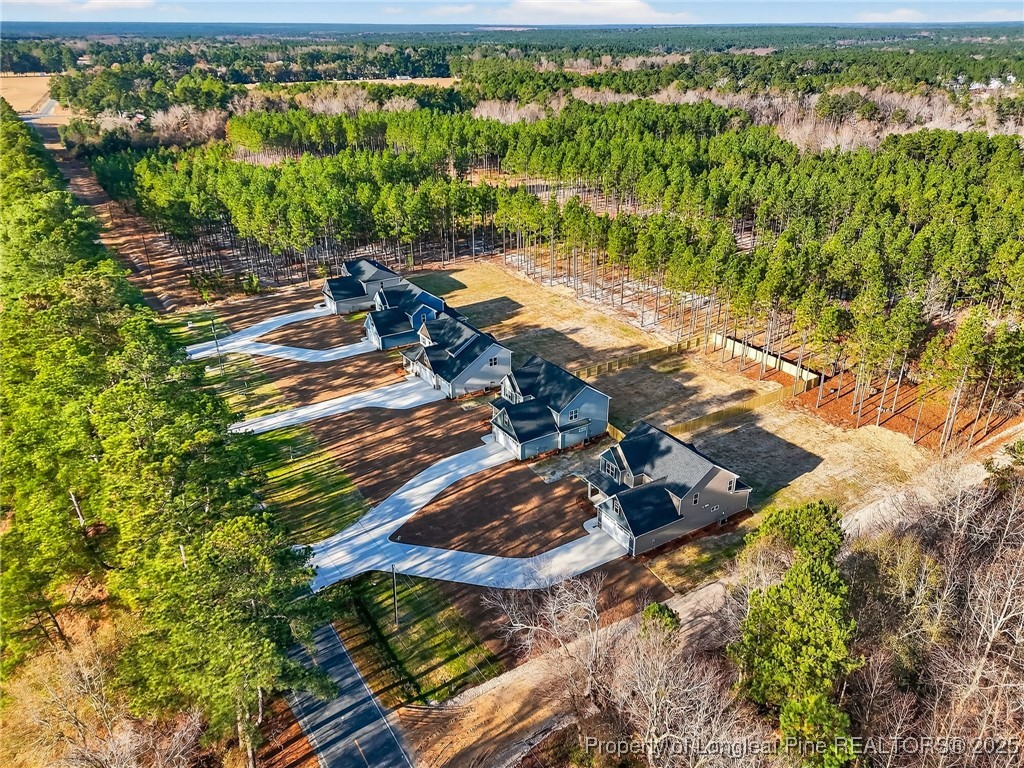 2218 Montrose (lot 2) Road Raeford, NC 28376 - Photo 44 of 48