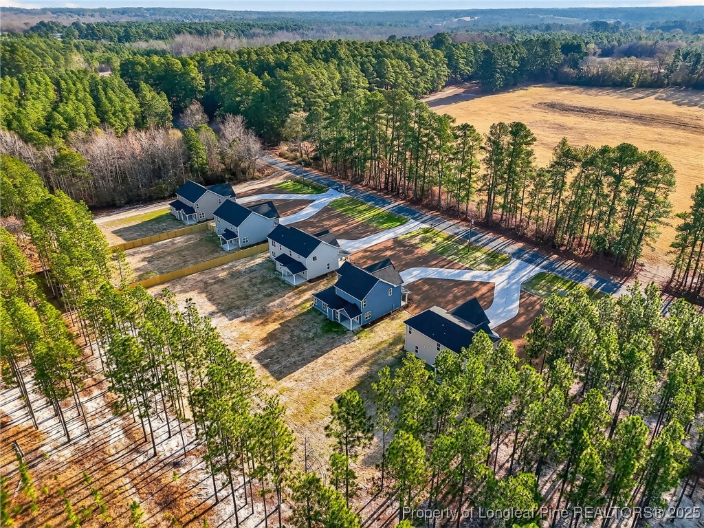 2218 Montrose (lot 2) Road Raeford, NC 28376 - Photo 46 of 48