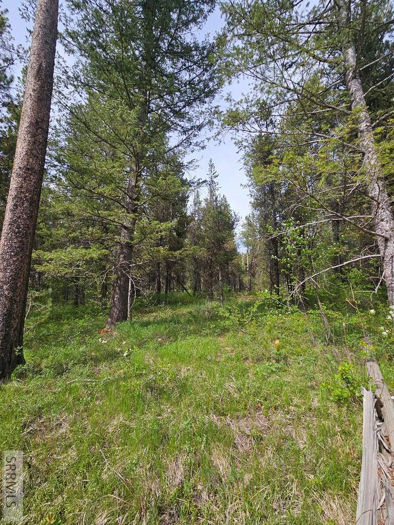 1537 Shadow Run Ashton, ID 83420 - Photo 4 of 22