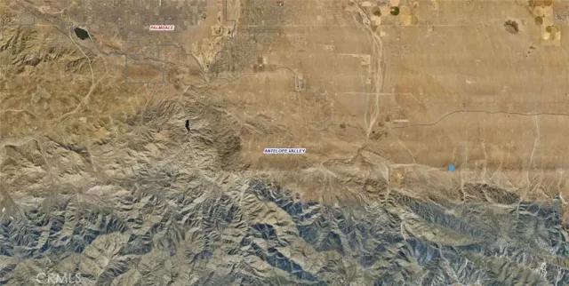 a view of a trees with a swimming pool