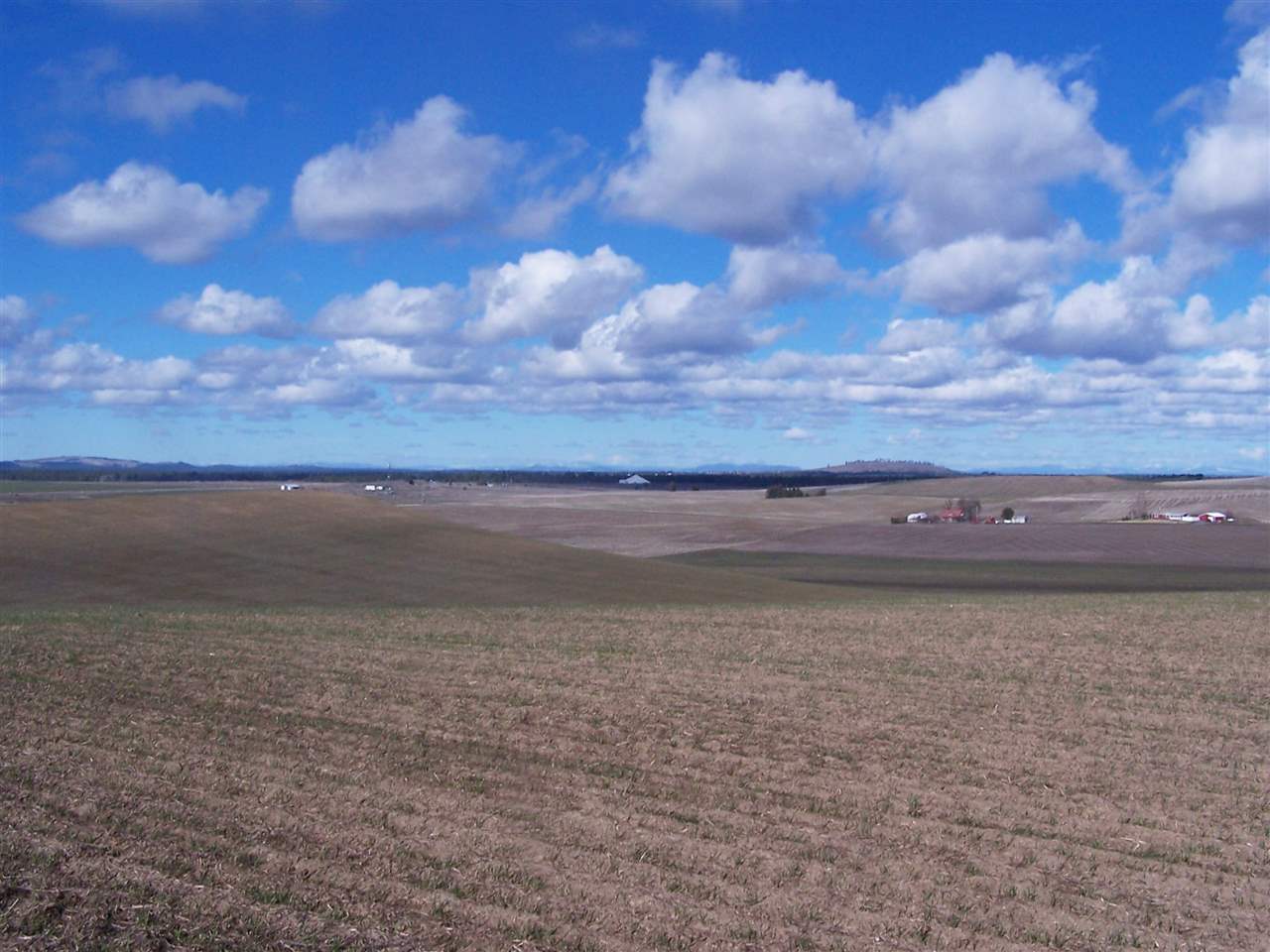 0 East Watt Road Spangle, WA 99031 - Photo 3 of 19