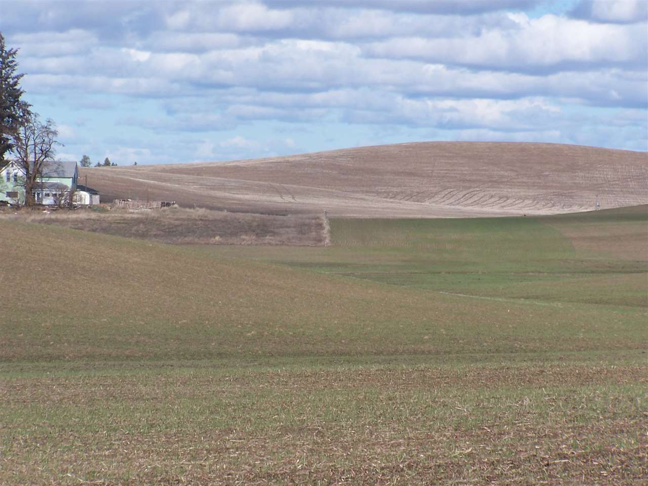 0 East Watt Road Spangle, WA 99031 - Photo 8 of 19