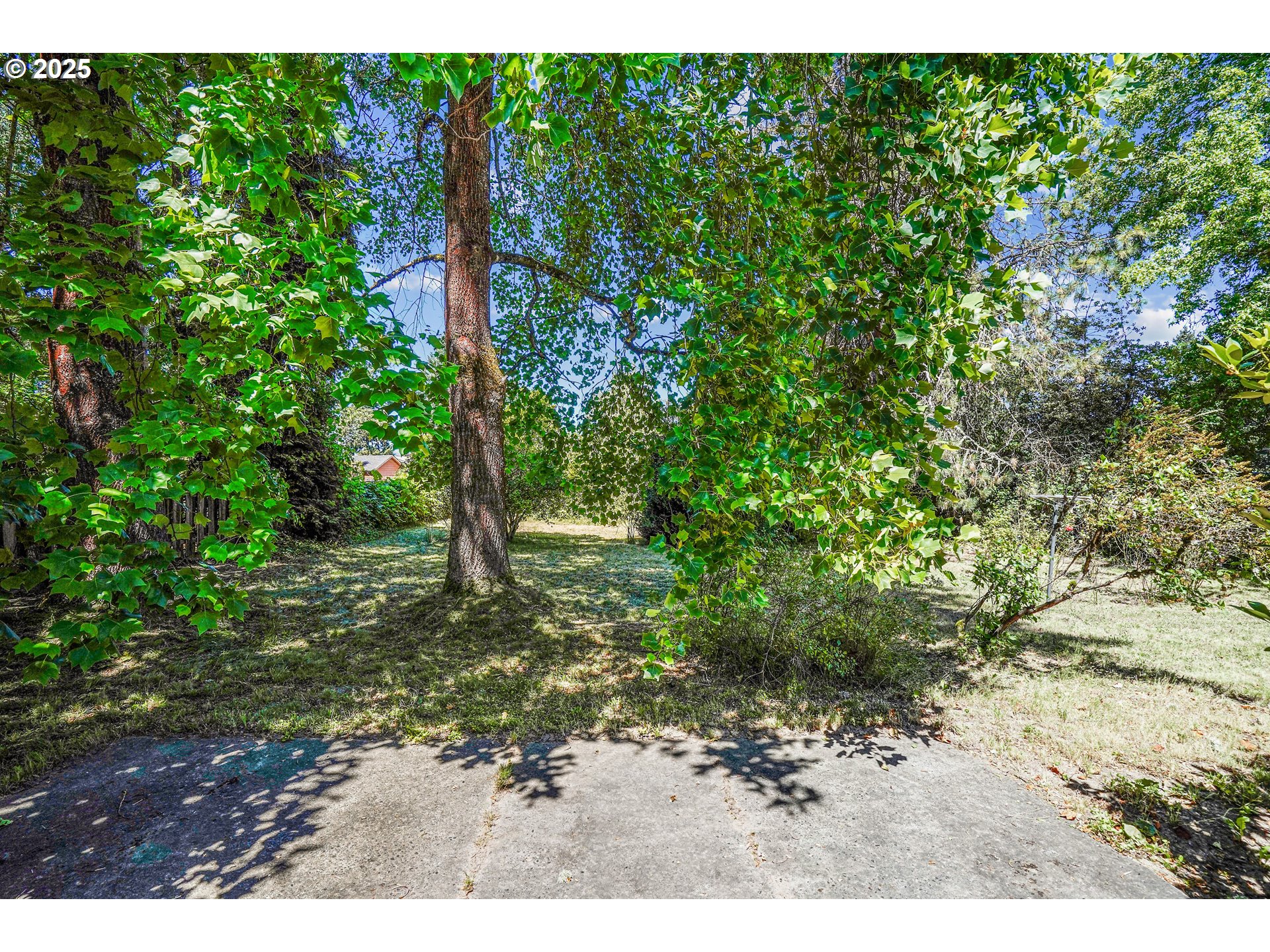 18365 Southwest Rosa Road Beaverton, OR 97078 - Photo 21 of 26 Gallery Image 21