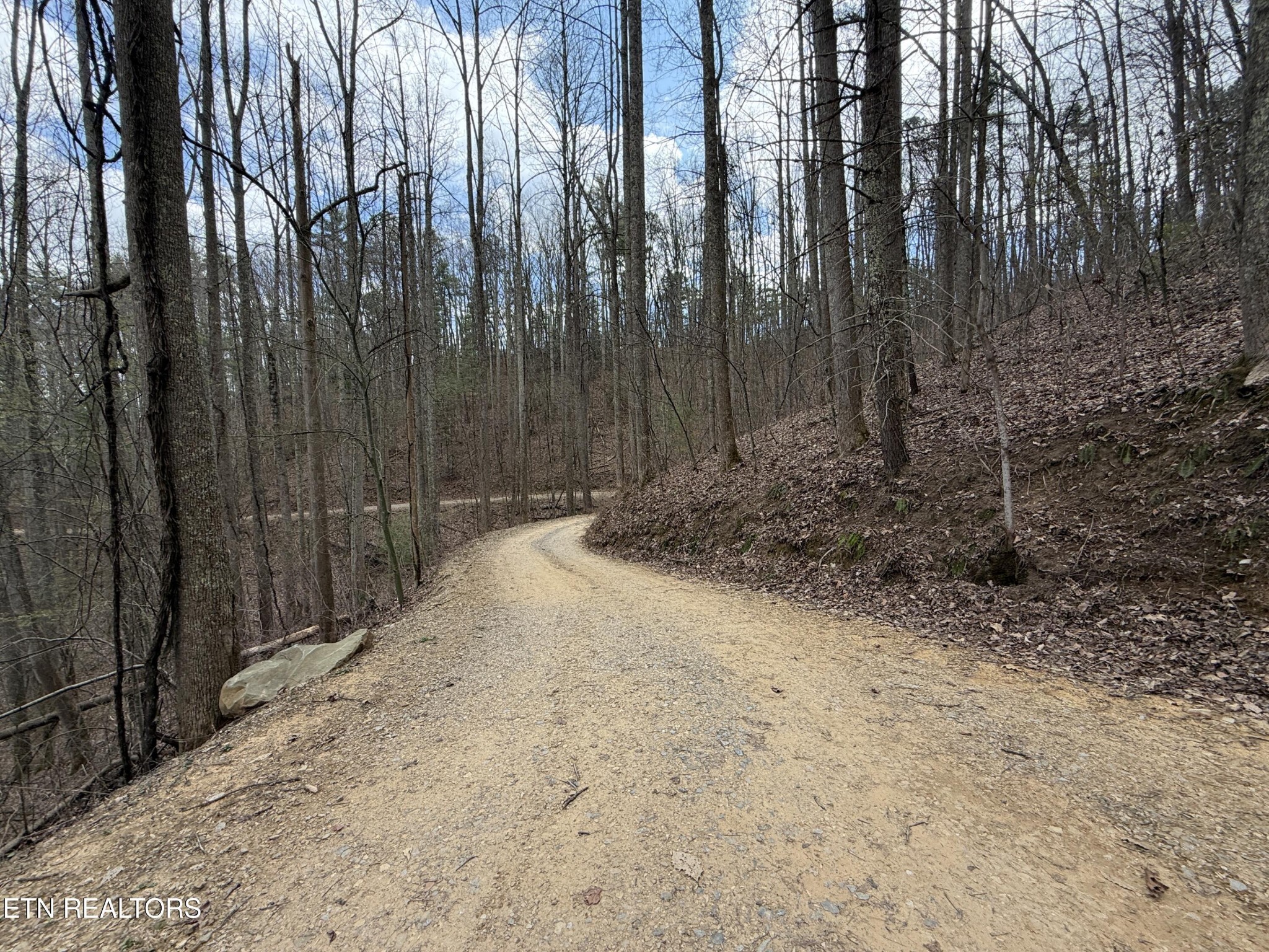 401 Reece Hollow Road Del Rio, TN 37727 - Photo 4 of 14 a view of a backyard