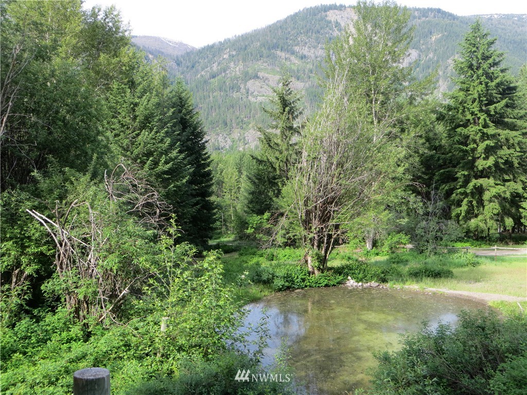 532 Lost River Road Mazama, WA 98833 - Photo 7 of 25 Gallery Image 7