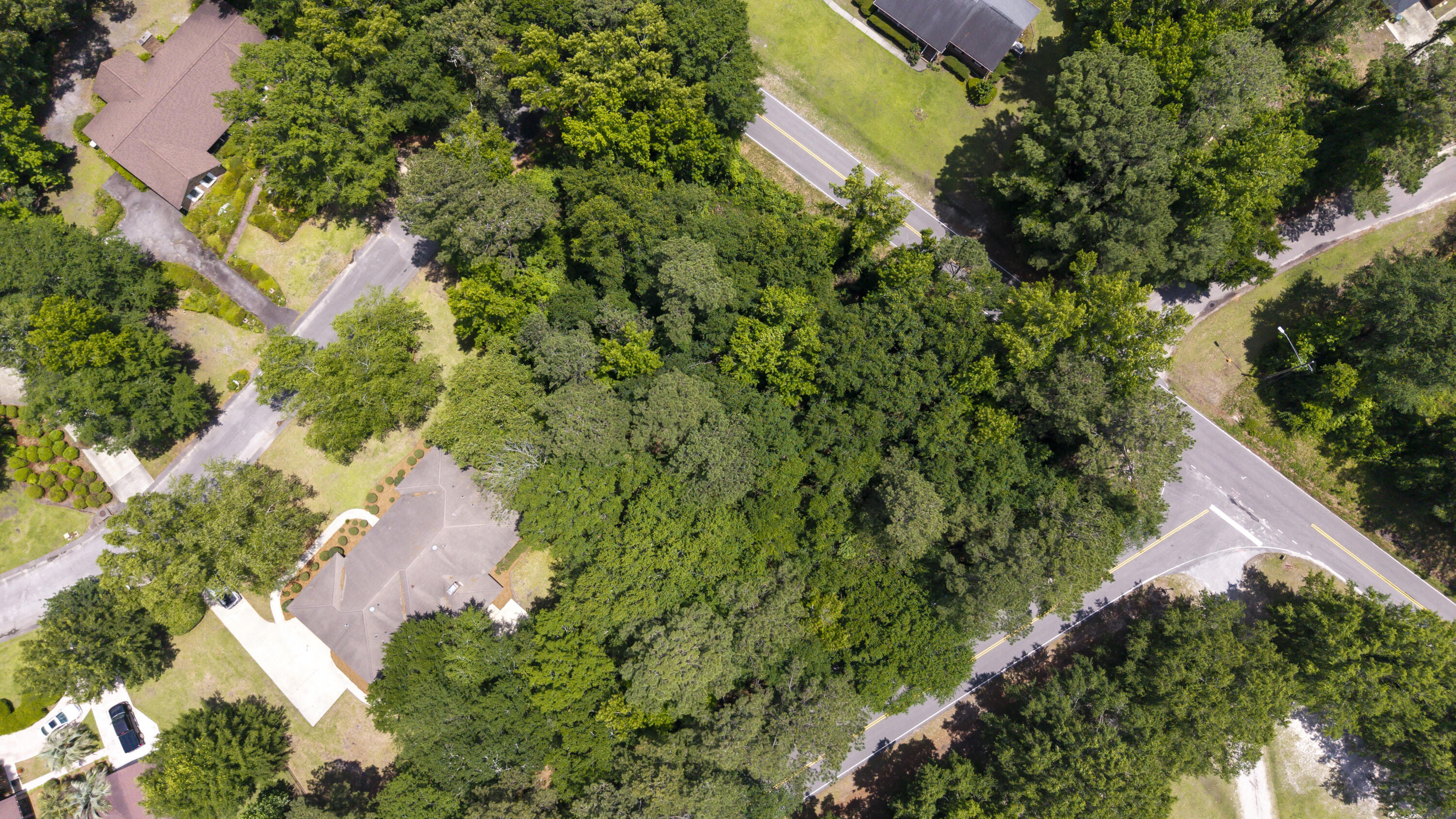 997 Club Lane Sumter, SC 29154 - Photo 5 of 6