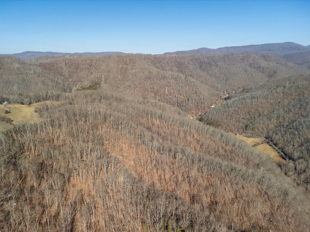 1 Boone Creek Road Hinton, WV 25951 - Photo 7 of 13 Gallery Image 7